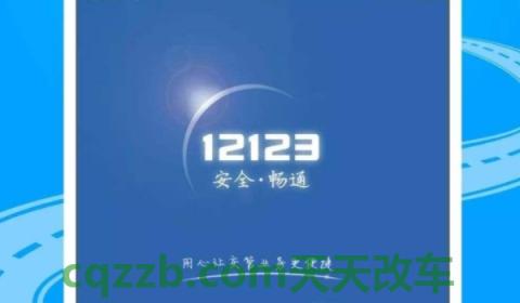 谈谈：12123预选车牌号码不想要可以么(车辆号牌丢失在哪里补办)  第3张