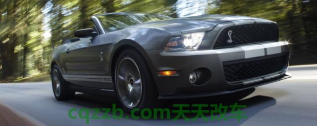 解惑：车标是眼镜蛇是什么车(Shelby跑车gte的底盘转向系统是什么)