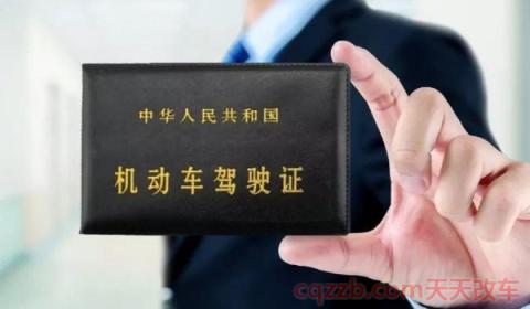 没车怎么摇车牌号码(摇车牌号码需要什么)  第2张