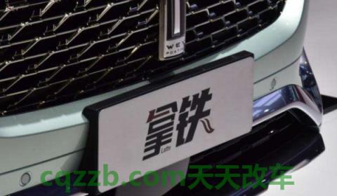 分享一下:拿铁能挂绿牌吗(拿铁车型的发动机参数) 第3张