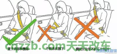 车友：新交规安全座椅必须安装吗 新交规细则有哪些