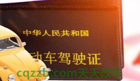 有电子驾驶证可以开车吗(所有地区都可以使用电子驾驶证吗)  第3张