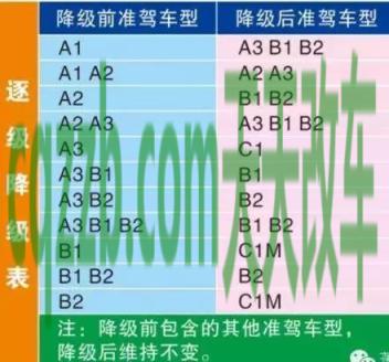 汽车知识：b2驾驶证增驾a2驾驶证_交通业务办理  第3张