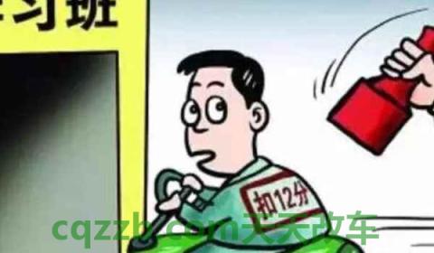 什么情况扣12分(扣除12分怎么办) 第3张