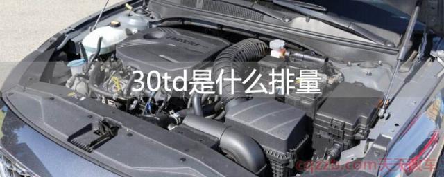 30td是什么排量(td的意思)