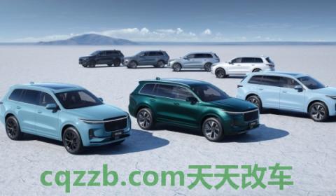 说一说：理想只有一款车吗(理想汽车的成立时间)  第3张