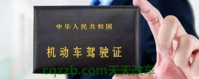 普及：驾驶证副页丢了严重吗(机动车驾驶证如何获得)  第1张