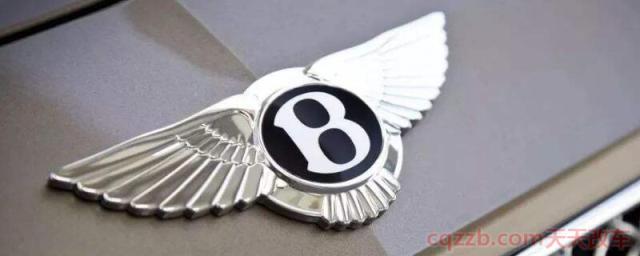 像翅膀一样的汽车标志(宾利) 第1张
