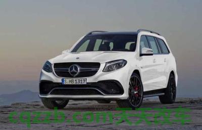 问答:奔驰amg gls63 2021款落地多少钱 奔驰amg 第2张