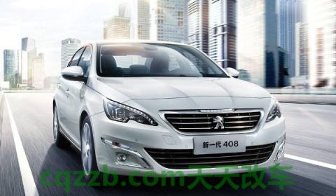 标致408sservice故障灯清除(标志408的厂商指导价)  第3张