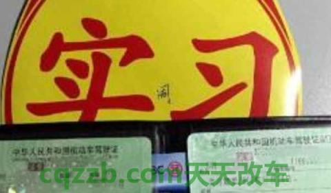 驾驶证吊销5年怎么查询(机动车驾驶证可以异地考取吗) 第2张