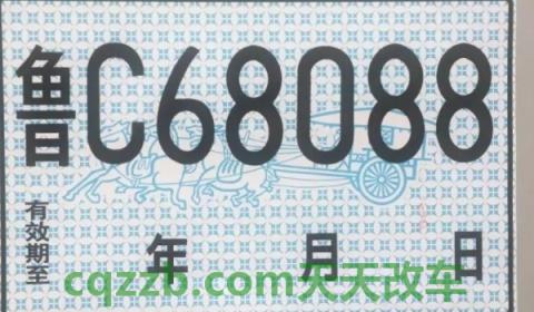 分享：新车没有临时牌照可以上路吗(机动车辆临时号牌一共有几种)  第3张