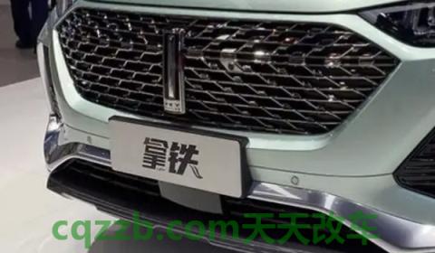 谈谈：魏牌拿铁有四驱吗(拿铁的底盘转向系统是什么)  第3张