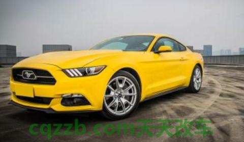 奔跑的马是什么牌子的车(野马车型厂商指导价)  第3张