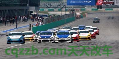 汽车有用：中国新能源汽车前十名品牌 中国有几个f1赛道