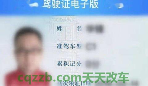 科普一下：驾驶证电子版可以不带驾驶证吗(交管12123收费吗)  第3张