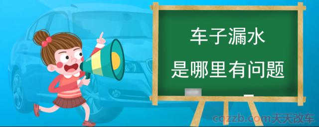 车子漏水是哪里有问题(车子漏水的原因)  第1张