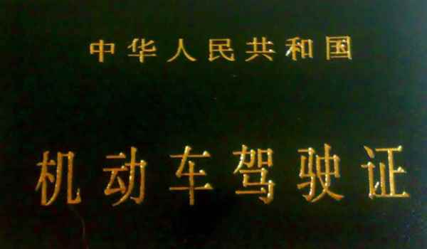 怎么查自己驾驶证状态(机动车驾驶证报考年龄限制)  第2张