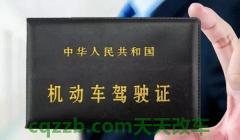 普及：以隐瞒欺骗手段补领机动车驾驶证的行为一次记多少分(违章违法行为可以不处理吗)  第3张