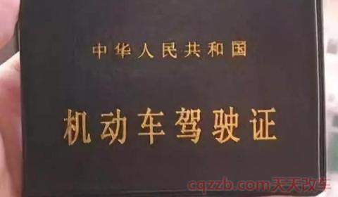 提交驾驶证照片是什么意思(不提交机动车驾驶证相片会有什么影响)  第2张