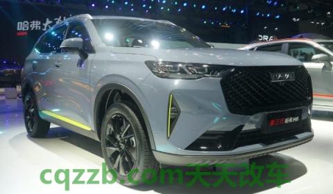 2020款哈弗h6保养灯归零(哈弗h6属于哪个品牌) 第2张