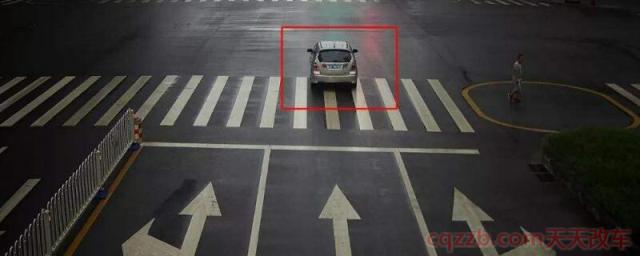 误闯红灯一半变绿灯(误闯红灯怎么办) 第1张