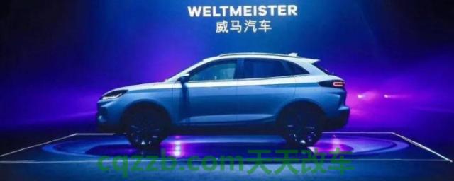 威马新能源汽车哪个厂家(威马ex5使用的是什么电机)  第1张