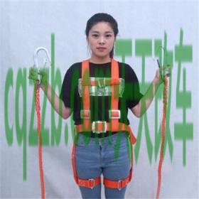 疑问：膨胀式安全带_什么是膨胀式安全带  第2张