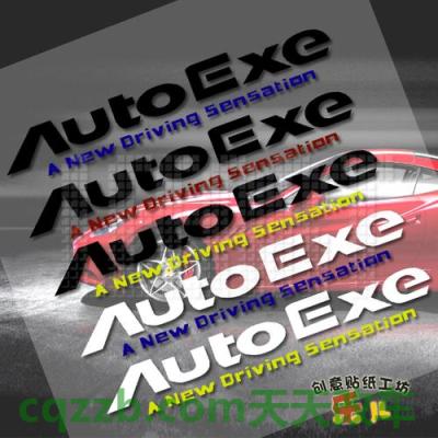 简单说说：AutoExe_什么是AutoExe  第2张