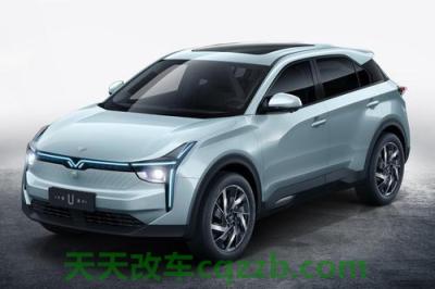 有关：neta是什么牌子汽车(图)  第2张