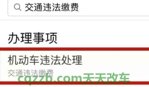 双黄虚线潮汐车道能随时变道吗(机动车辆出现违章违法行为怎么处理)  第2张