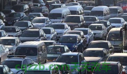 辽d是哪的车牌号(辽宁省车辆牌照如何异地缴纳罚款)  第3张