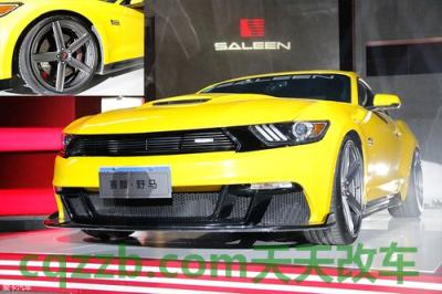 关于:赛麟品牌_什么是赛麟品牌 第2张