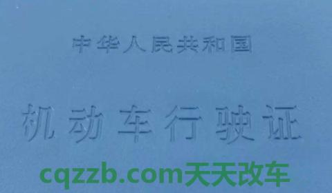 解读一下:行驶证上的θ是不是数字0(机动车行驶证需要随车携带吗) 第2张