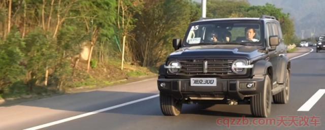 坦克300是哪个品牌(坦克300越野性能怎么样)  第1张