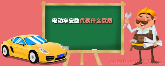 电动车安数代表什么意思()