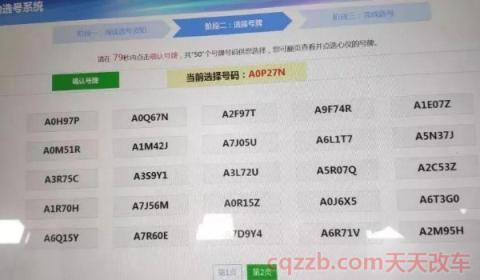网上选号车辆品牌型号怎么填写(网上选的车辆号牌可以不使用吗)  第2张