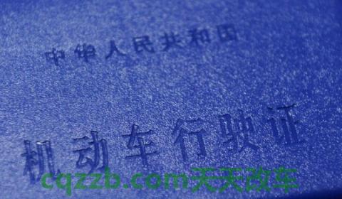 藤是哪里的车牌号(机动车辆号牌丢失如何补办)  第3张