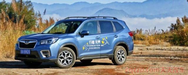 森林人是什么车()  第2张
