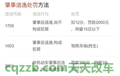 有用:专利授予需要哪些条件 单车事故肇事逃逸怎么处罚 第2张