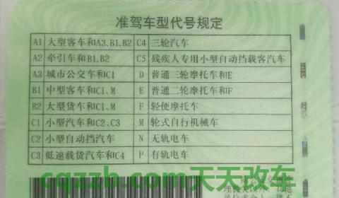 a1驾驶证扣分了会怎样(申请a1机动车驾驶证的要求)  第3张