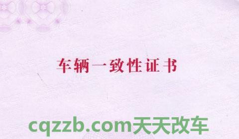 车辆一致性证书会给客户吗(车辆一致性证书上都有什么信息)  第2张