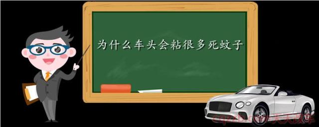 为什么车头会粘很多死蚊子(车头粘蚊子对车的影响)  第1张
