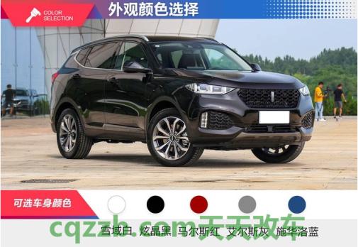 分享：WEY 新VV6怎么样及其性能简介 WEY车标含义是什么  第2张