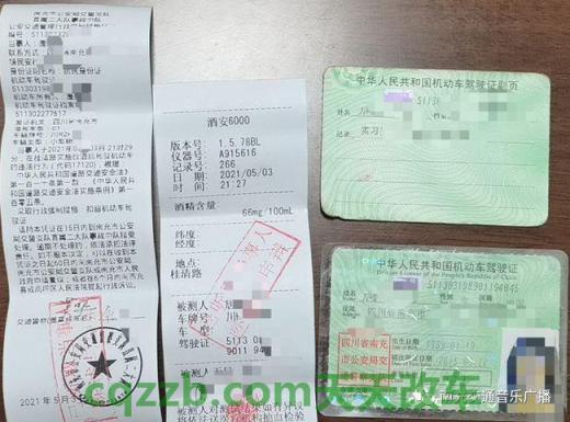 汽车分享：机动车驾驶证被暂扣期间驾驶_交通业务办理  第3张