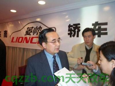 汽车疑问：凌玉章_什么是凌玉章