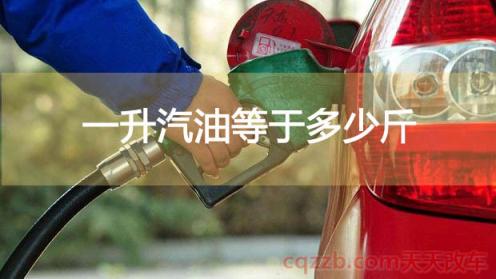 一升汽油等于多少斤(1、一升89号汽油多少斤)  第1张