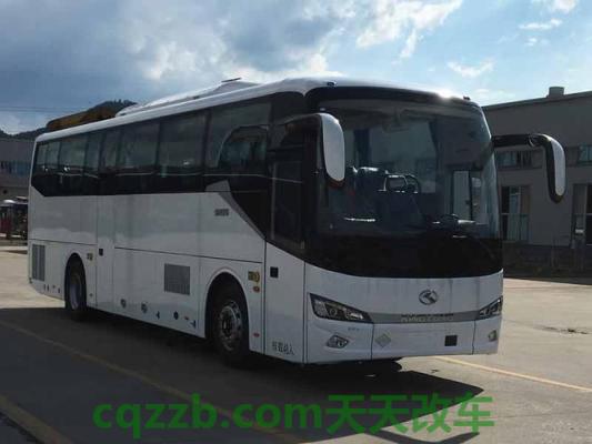 了解汽车：金龙联合_什么是金龙联合  第2张