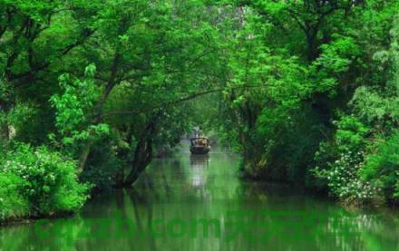 车回答：杭州西溪湿地限行吗_交通问题  第3张