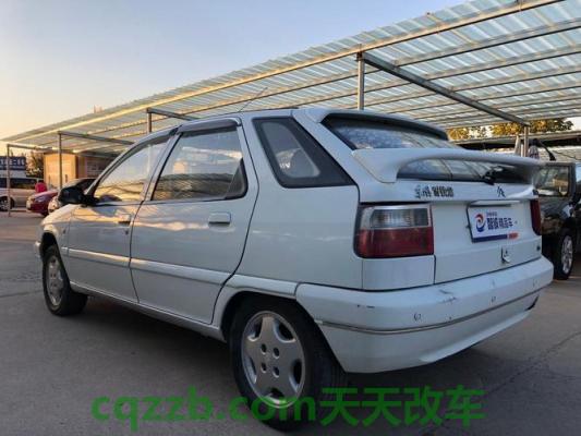 疑问：富康_什么是富康